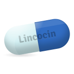 Lincocin