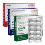 Kiwof Plus Easy Chews