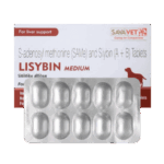Lisybin Medium
