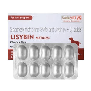 Lisybin Medium
