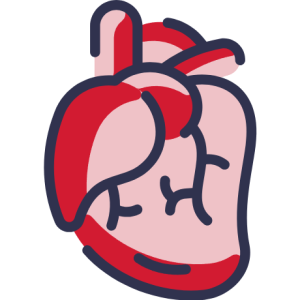 Heart Disease