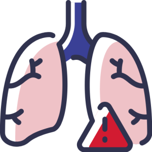 Respiratory Tract